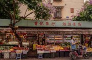 微密圈热门项目投资分析：内容策划方案