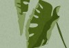 快手成人版粉丝社群运营实战-新手必读
