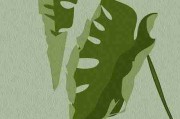 快手成人版粉丝社群运营实战-新手必读