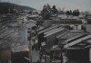 运营避坑指南-国产探花达人崛起路径解析