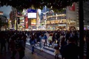 生态链条分析-爆款短剧内容在抖音成人版的成功路径