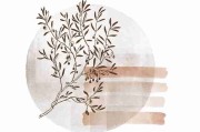 国产探花平台政策最新变化｜新手快速上手