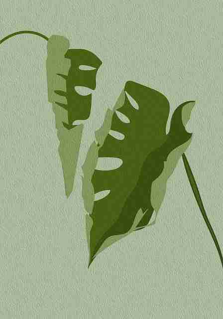 快手成人版粉丝社群运营实战-新手必读